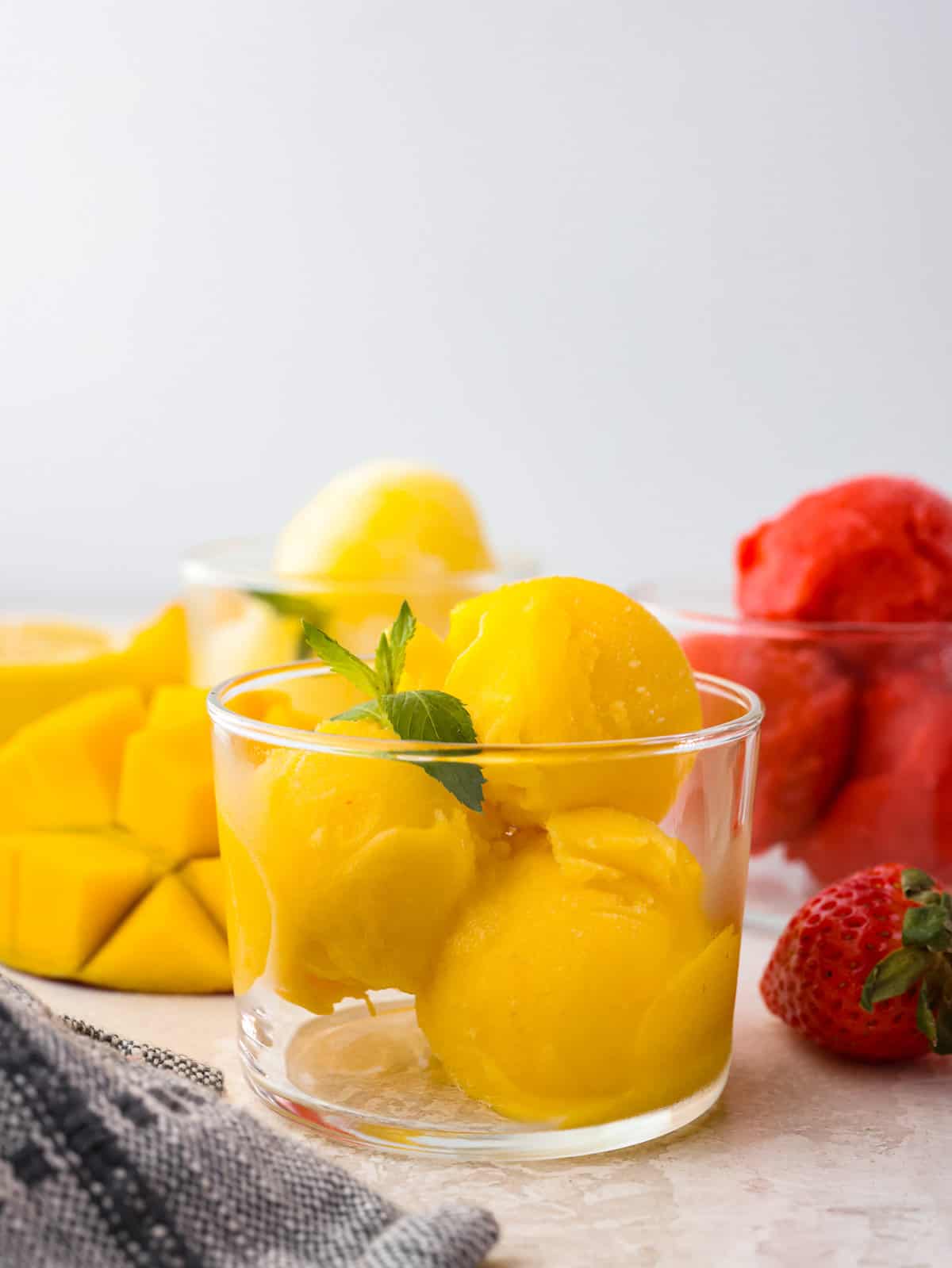 Homemade Sorbet
