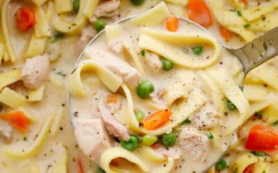 Turkey Noodle Soup