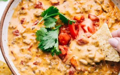 Rotel Dip