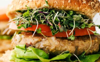Air Fryer Turkey Burgers