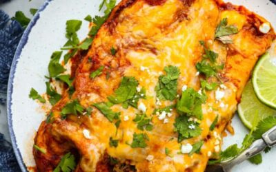Pork Enchiladas