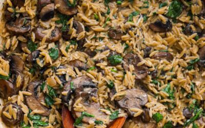 Mushroom Orzo