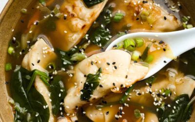 Potsticker Soup