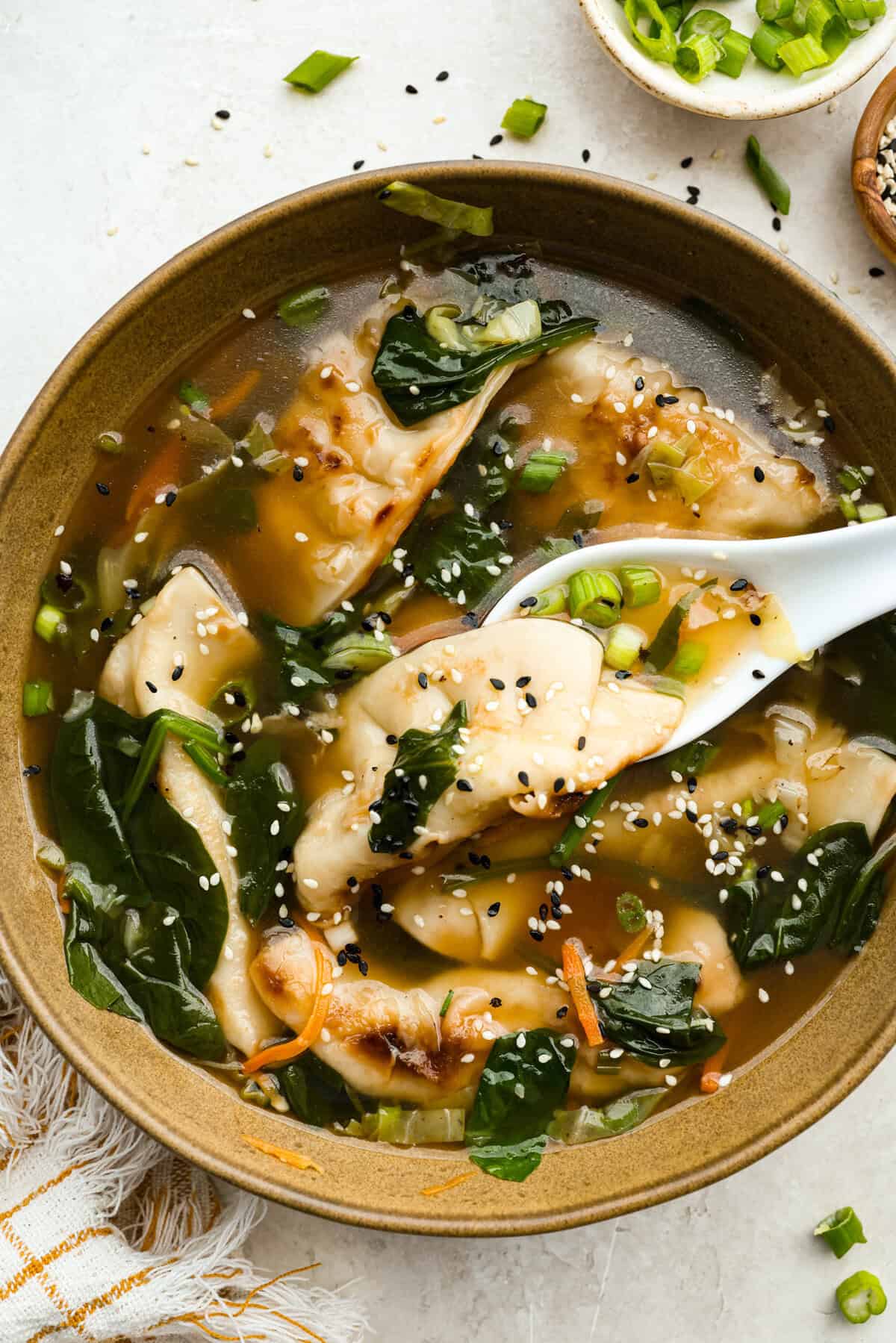 Potsticker Soup